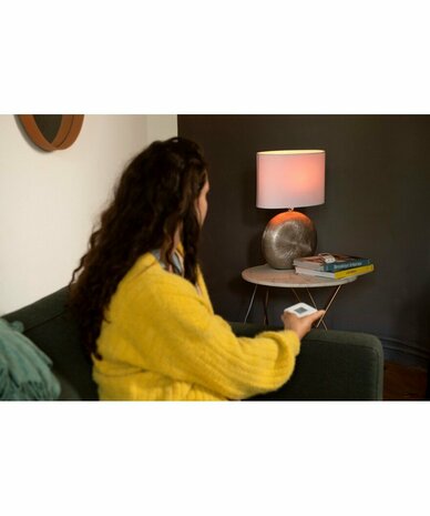FRITZ!DECT 500 INTELLIGENTE LED-LAMP